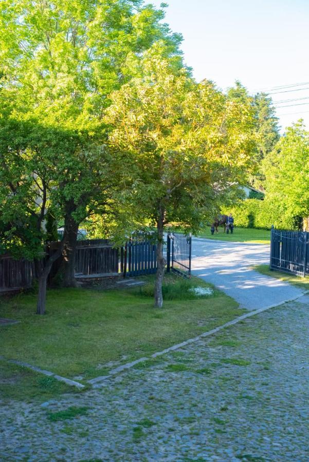 HüttenrodeFerienhaus Brockenblick别墅 外观 照片
